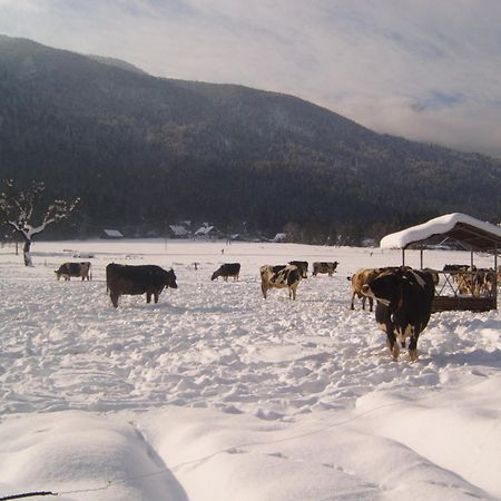 Farmhouse Soklic Bohinj Zewnętrze zdjęcie