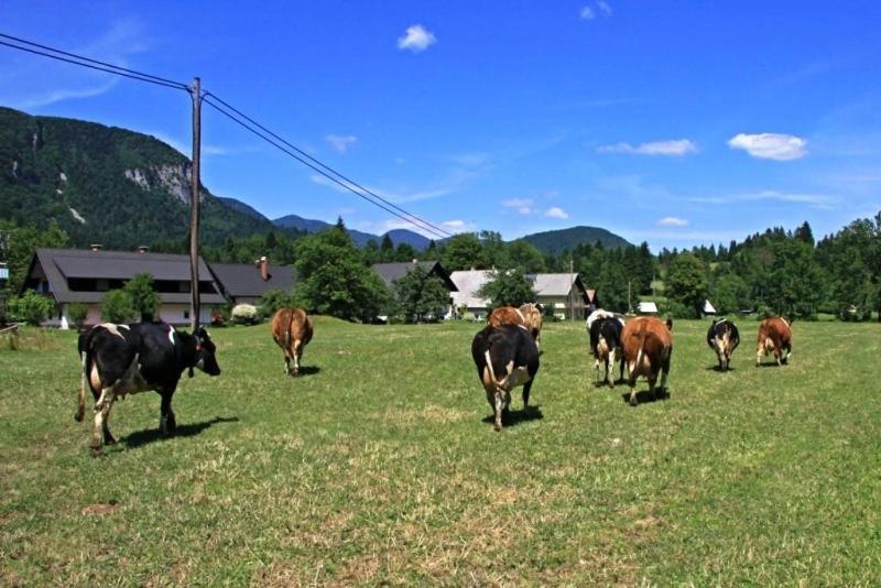 Farmhouse Soklic Bohinj Zewnętrze zdjęcie