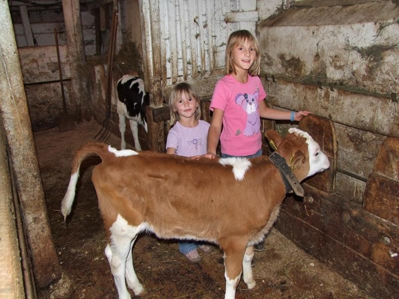 Farmhouse Soklic Bohinj Zewnętrze zdjęcie
