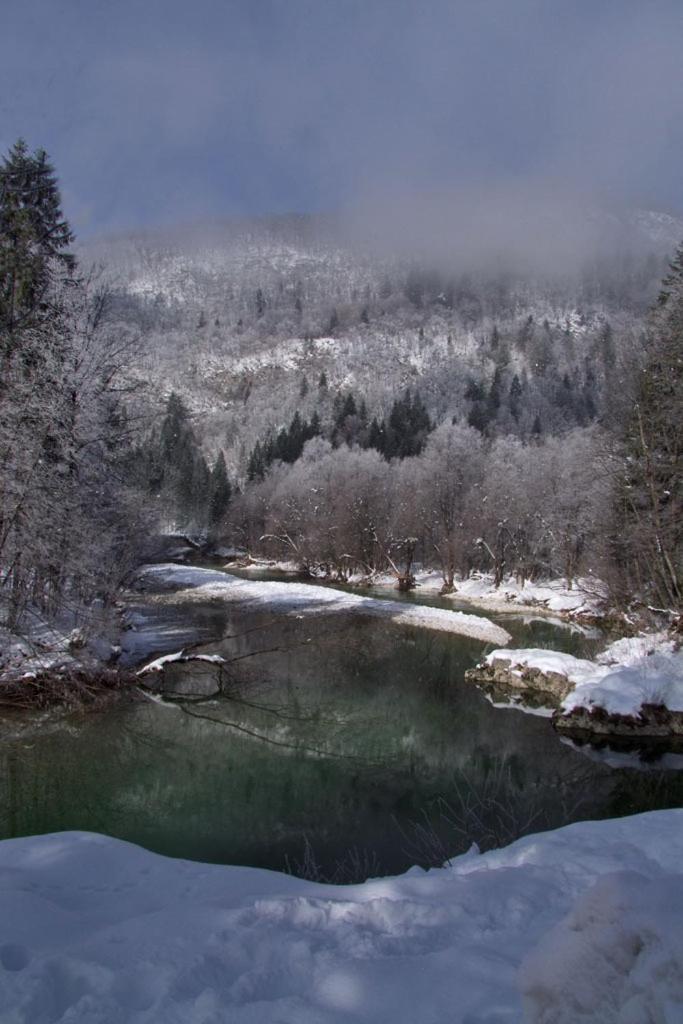 Farmhouse Soklic Bohinj Zewnętrze zdjęcie