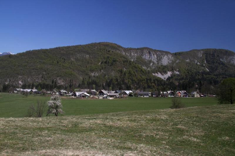 Farmhouse Soklic Bohinj Zewnętrze zdjęcie